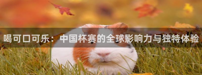 世界杯欧洲区预选赛：喝可口可乐：中国杯赛的全球影响力与独特体验