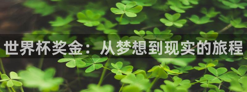 2026年世界杯对阵图：世界杯奖金：从梦想到现实的旅程