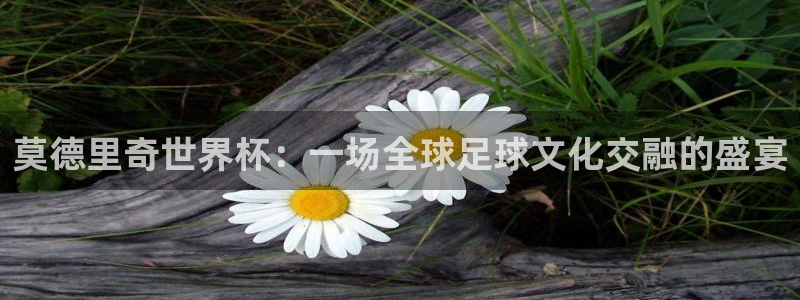 2026世界杯中国队：莫德里奇世界杯：一场全球足球文化交融的盛宴