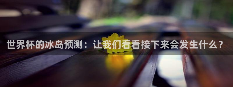 2026世界杯对阵图：世界杯的冰岛预测：让我们看看接下来会发生什么？