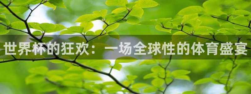 男足世界杯预选赛赛程：世界杯的狂欢：一场全球性的体育盛宴