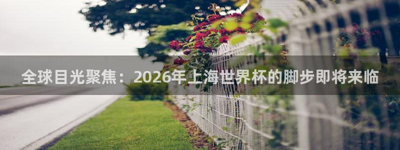 亚洲杯足球：全球目光聚焦：2026年上海世界杯的脚步即将来临