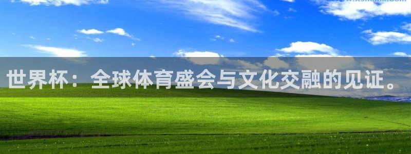 2026世界杯南美区积分榜：世界杯：全球体育盛会与文化交融的见证。