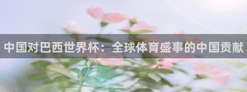 世界杯预选赛赛程时间表：中国对巴西世界杯：全球体育盛事的中国贡献