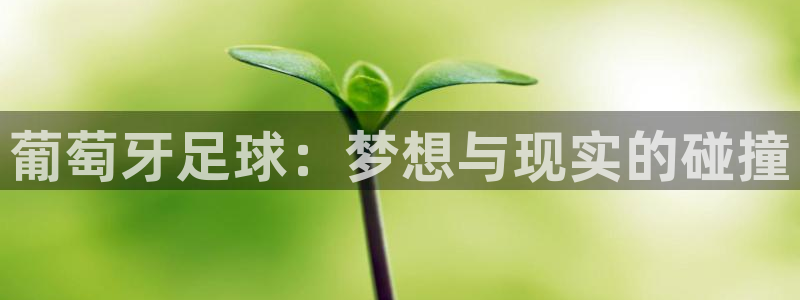 2026世界杯赛程时间表最新:葡萄牙足球:梦想与现实的碰撞