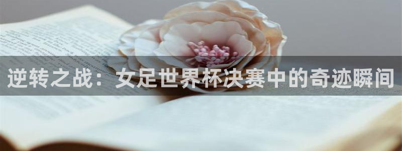 世界杯2026赛制：逆转之战：女足世界杯决赛中的奇迹瞬间