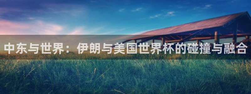 2006年世界杯冠军：中东与世界：伊朗与美国世界杯的碰撞与融合