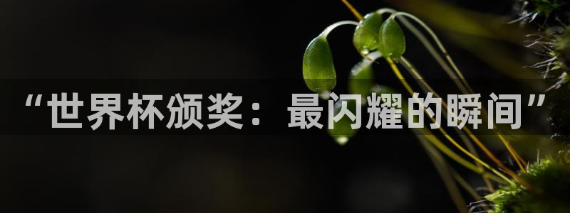 世界杯官网：“世界杯颁奖：最闪耀的瞬间”