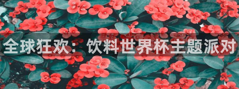 世界杯葡萄牙赛程：全球狂欢：饮料世界杯主题派对