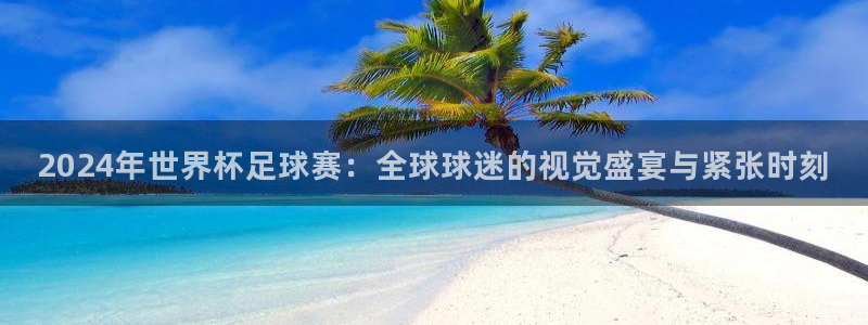 足球世界杯2026：2024年世界杯足球赛：全球球迷的视觉盛宴与紧张时刻