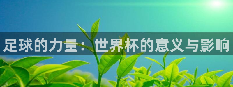 世界杯球赛：足球的力量：世界杯的意义与影响