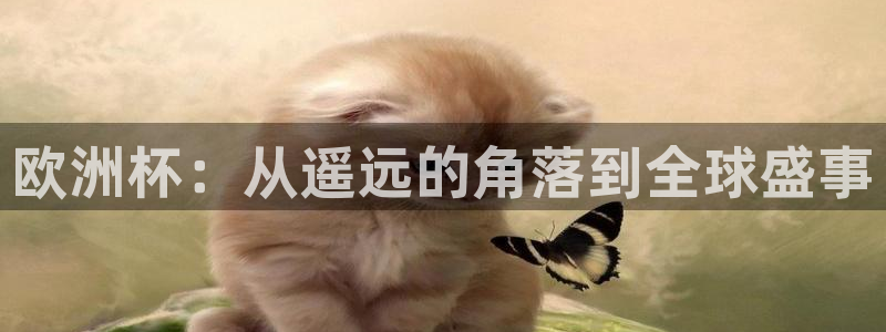 美国世界杯：欧洲杯：从遥远的角落到全球盛事
